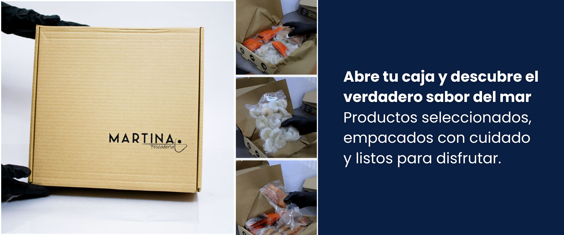 Título de la Sección