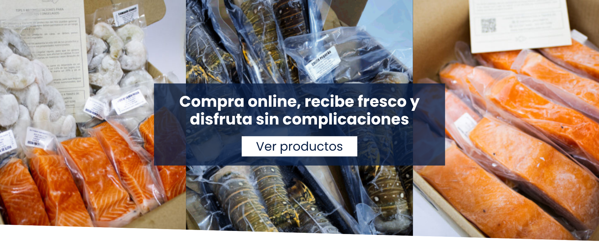 Título de la Sección