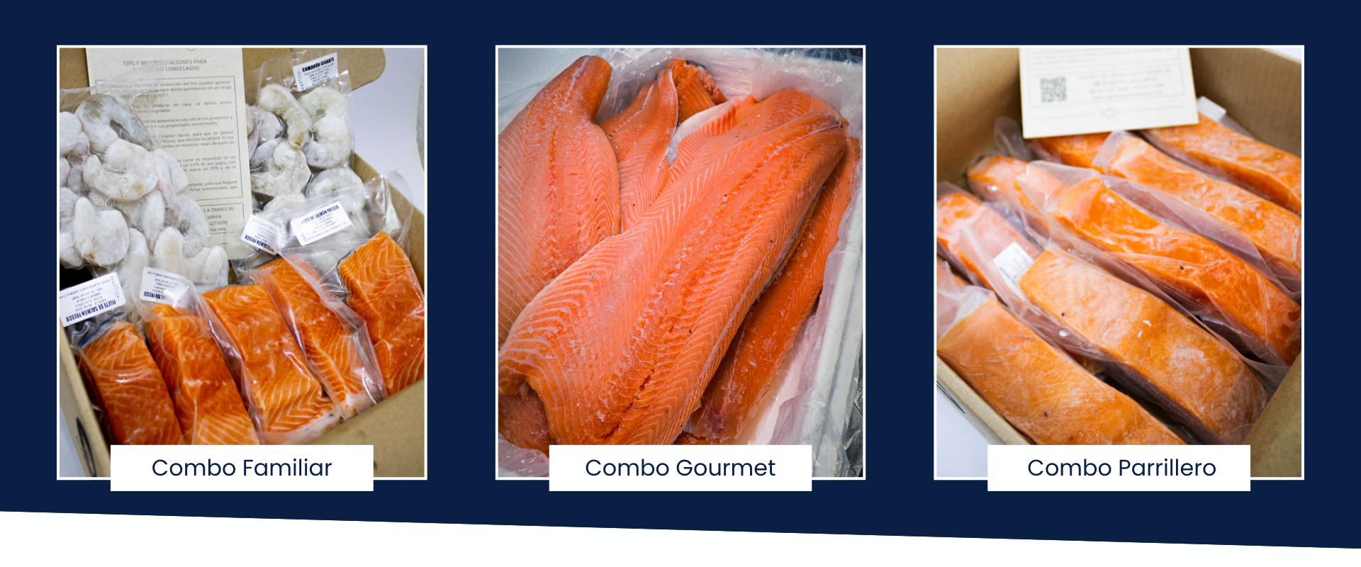 Título de la Sección