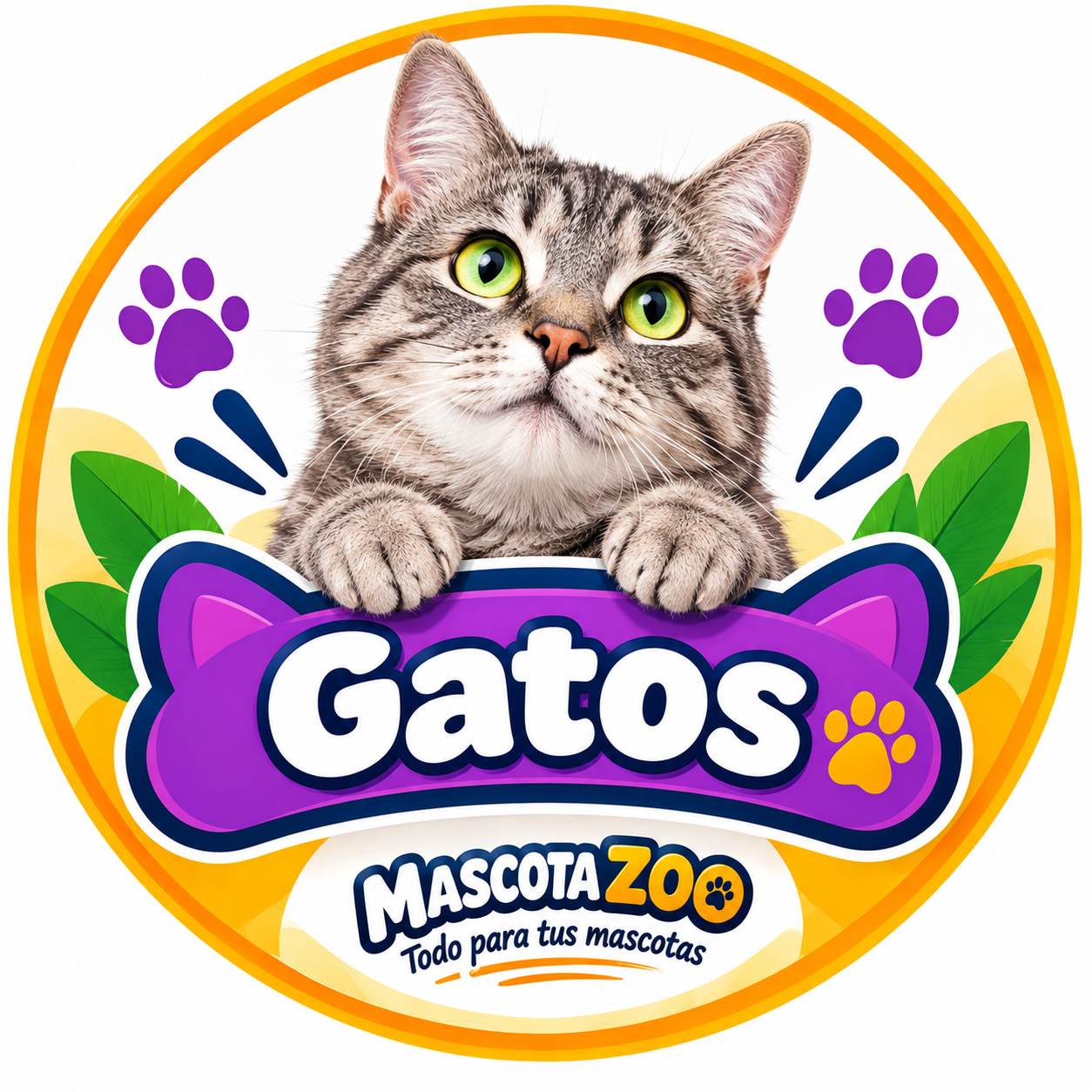 Gatos