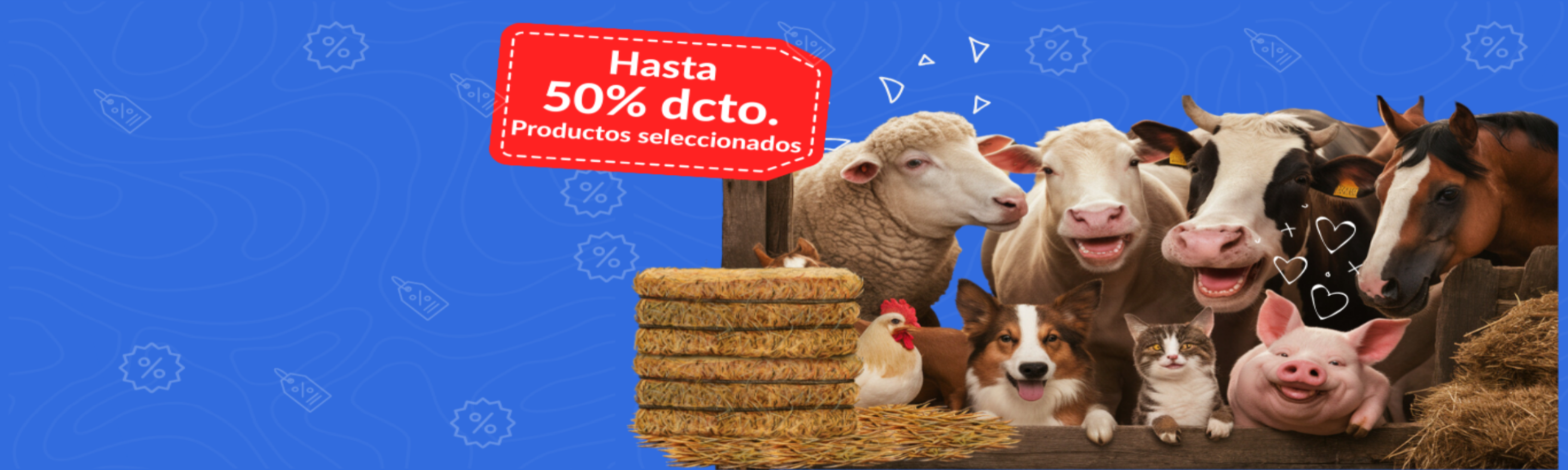 ¡VIBRA CON NUESTRAS OFERTAS! 