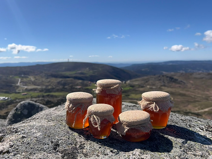 Porque escolher o nosso mel?<br>