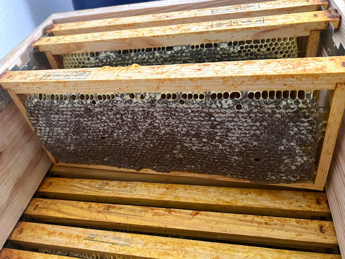 Why choose our honey?<br>