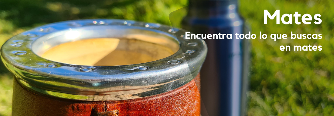 Descubre nuestros elegantes blazers para mujer