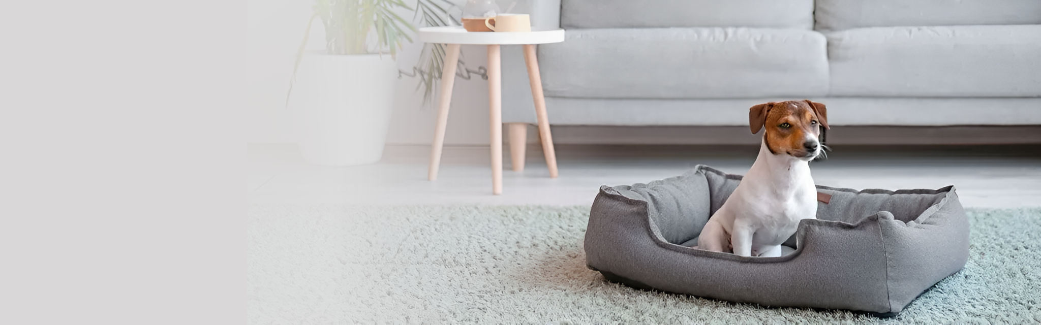 Bienvenido a un Hogar con Estilo