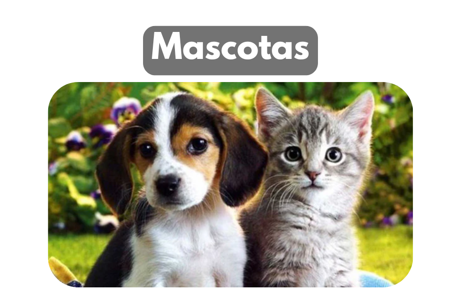 mascotas<br>