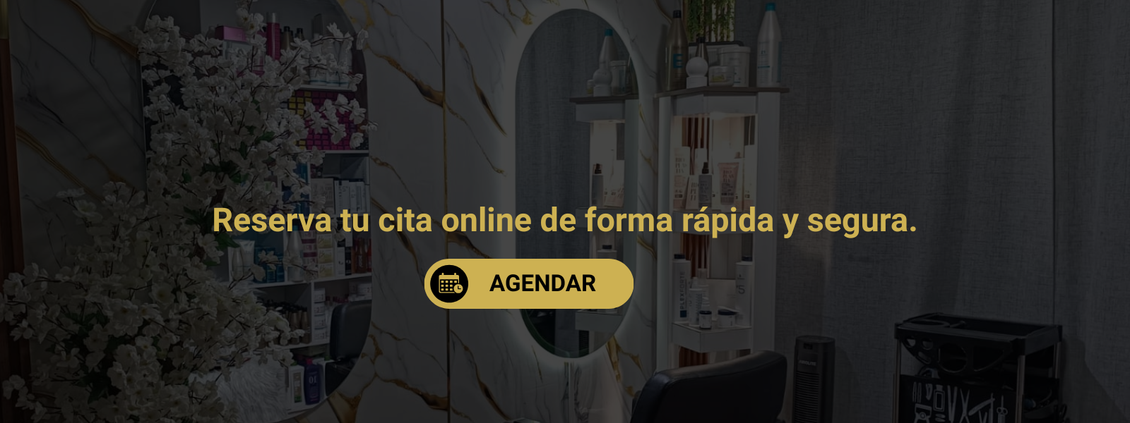 Título de la Sección