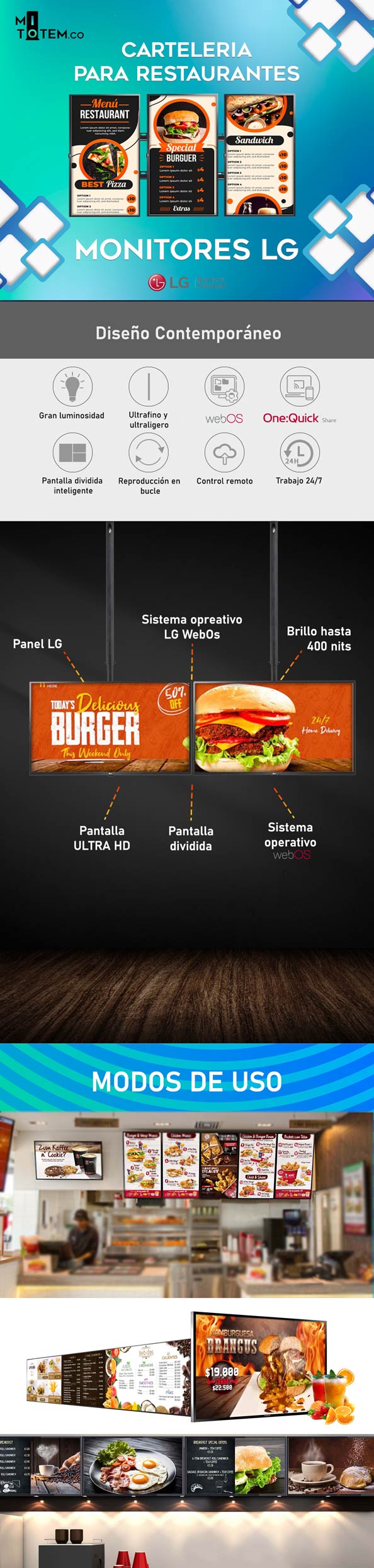 Pantalla profesional LG