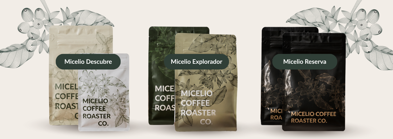 Micelio Coffee Roasters