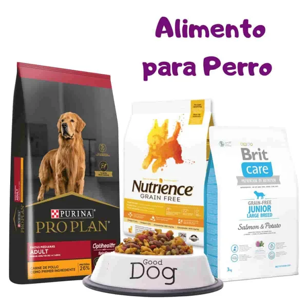 Alimento para Perros