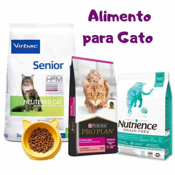 Alimento para Gatos