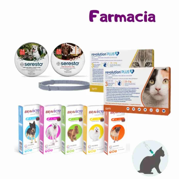 Farmacia