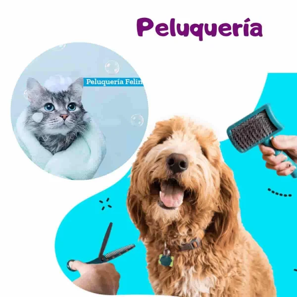 Peluquería