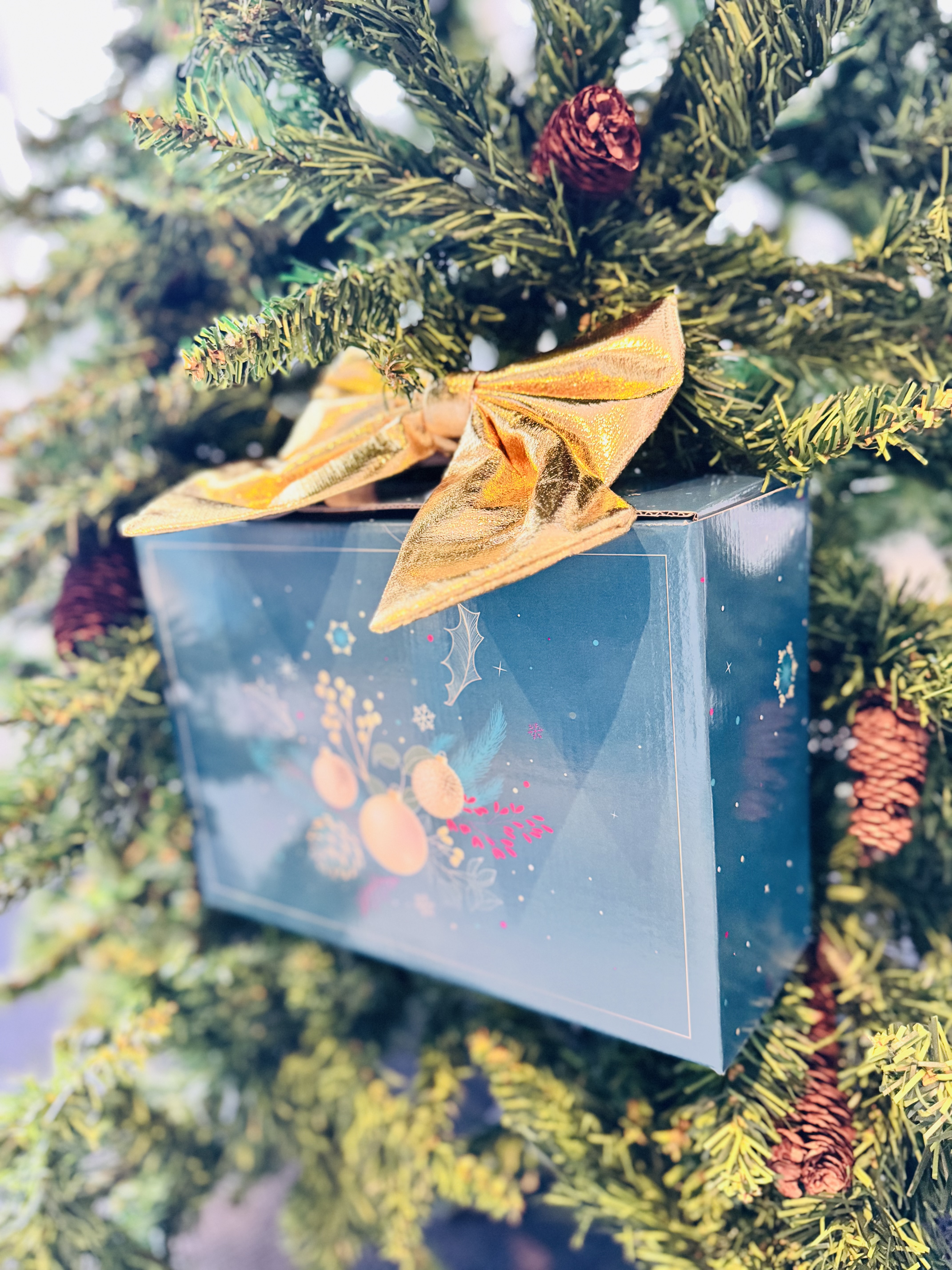 CALENDÁRIO DE ADVENTO ´´BRILHO E MAGIA ''