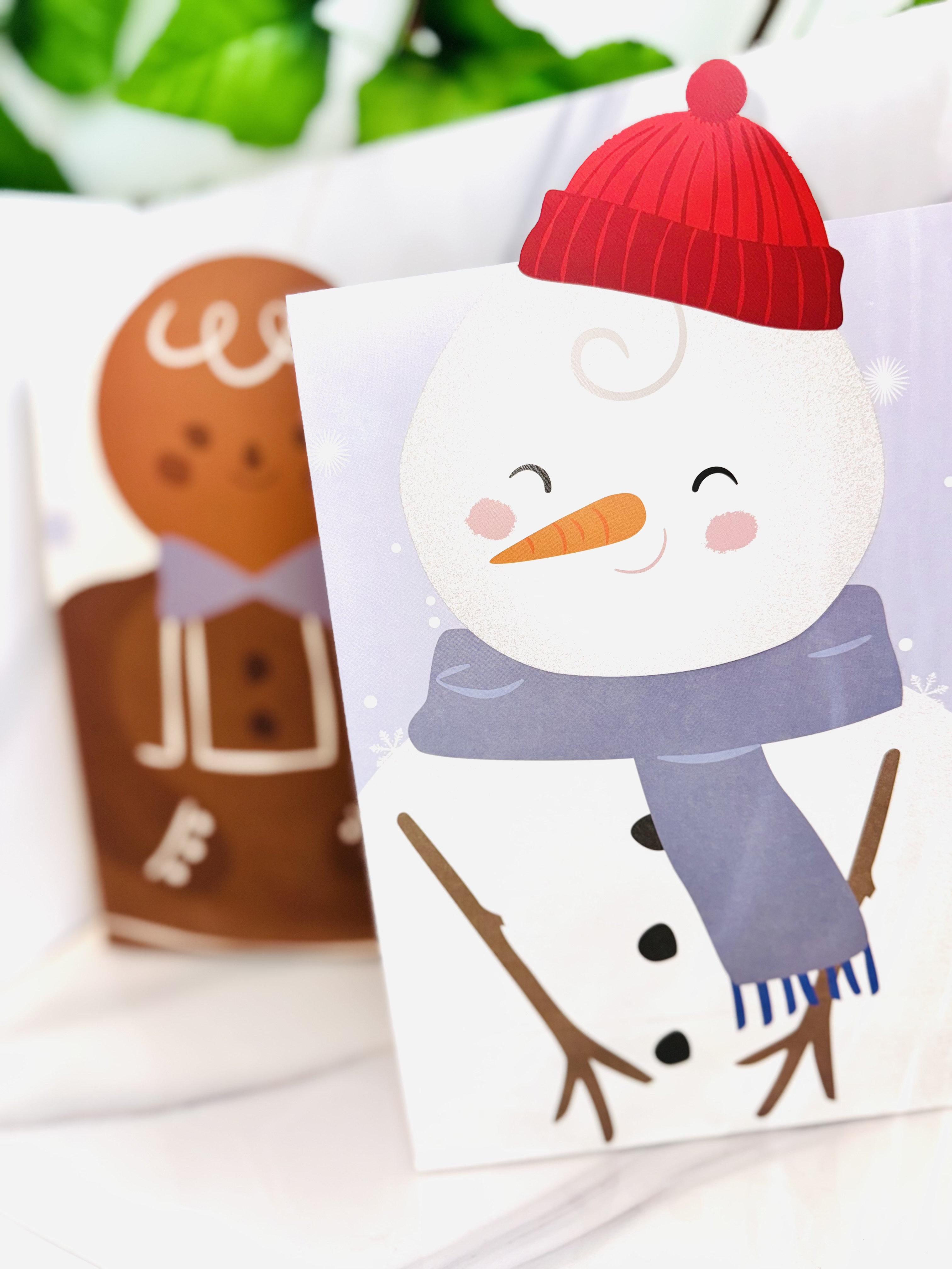 Box e Sacos Mistério