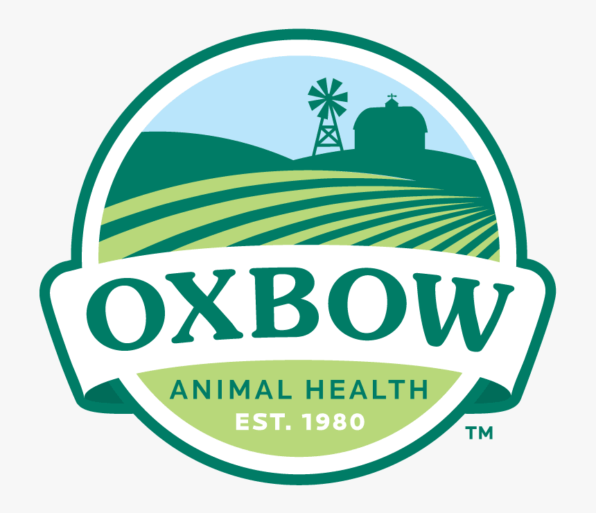 Mistik Animal