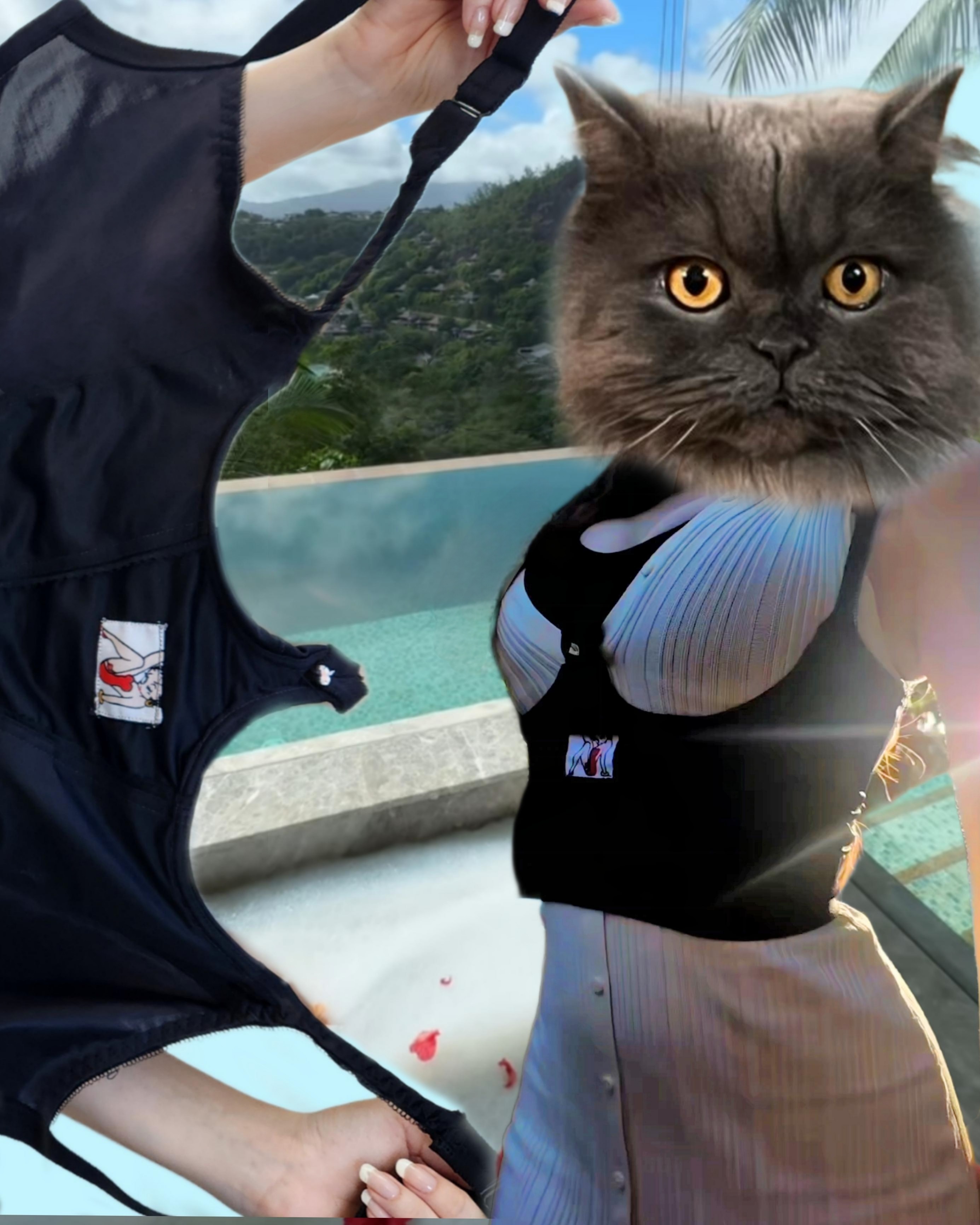 A World of Fabulous Clothing