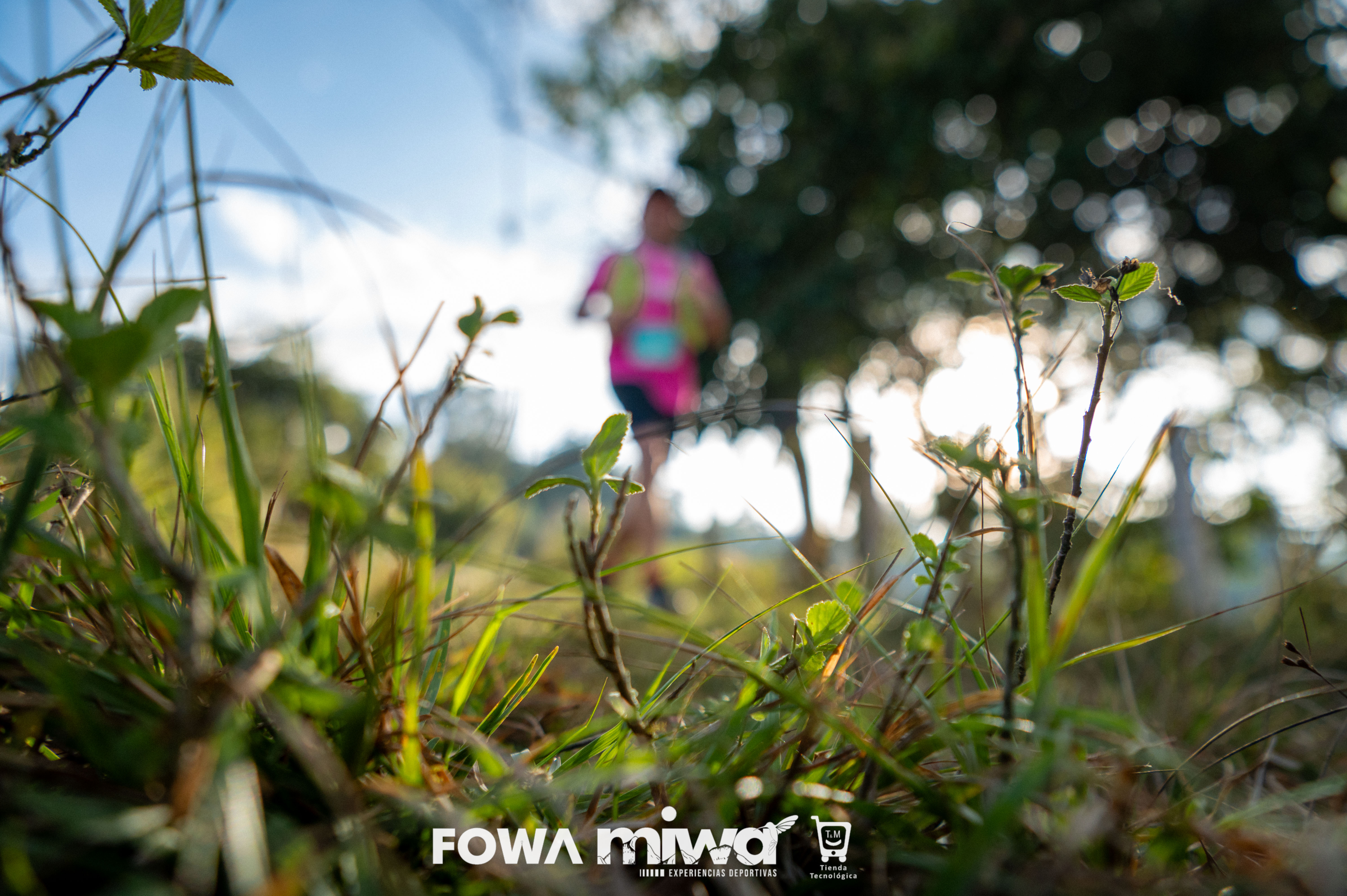 MiWA