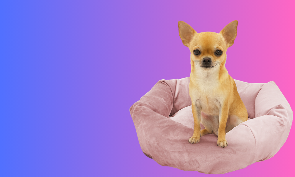 Camitas para <br>el mejor descanso