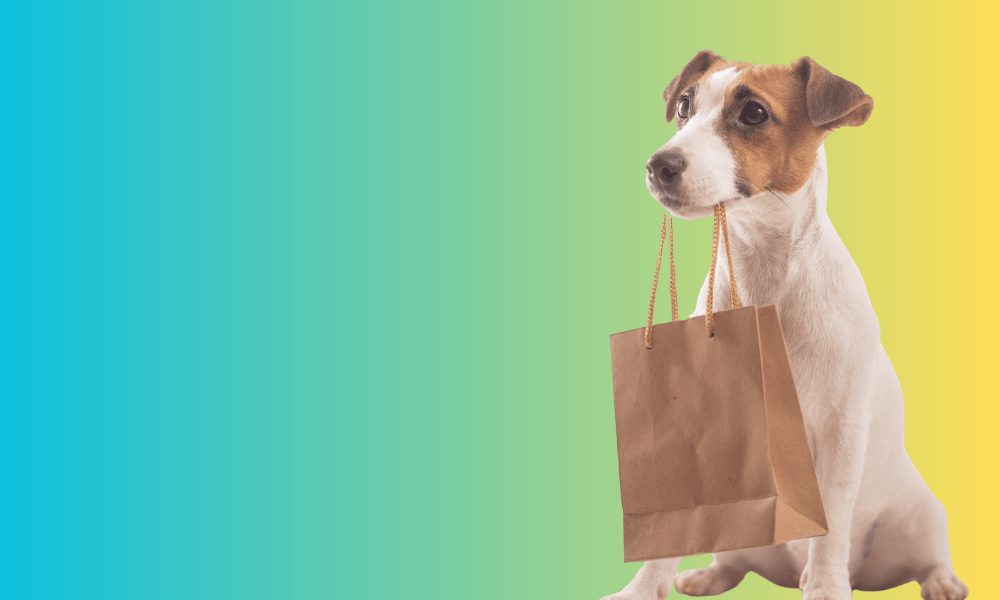 Envios a <br> todo Chile