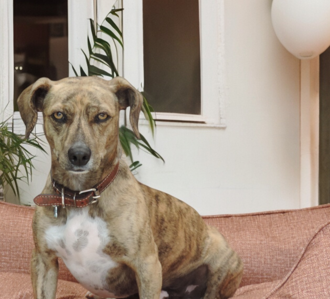 Tu esencia, tu estilo