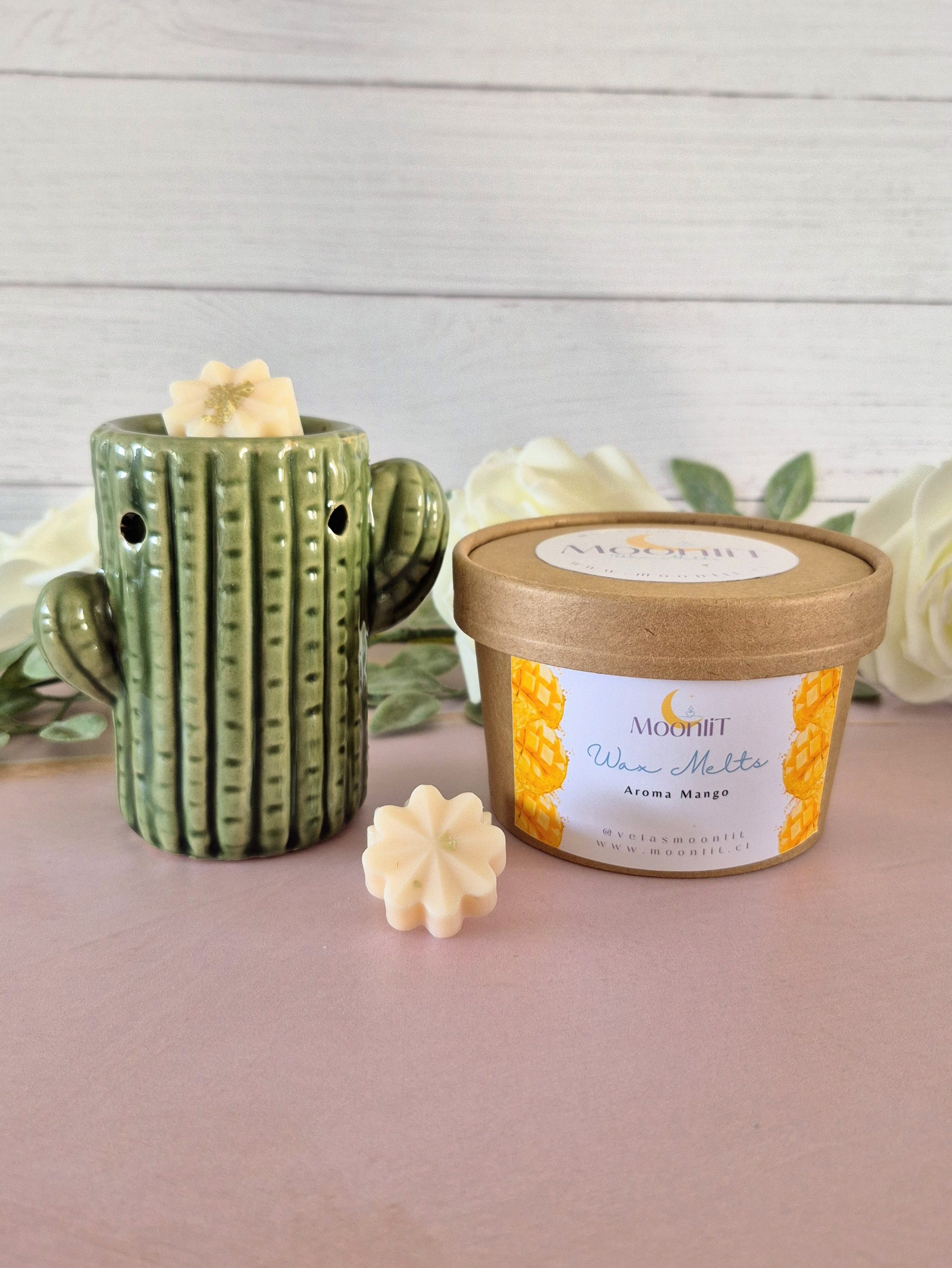 Pack Quemador + Wax Melts