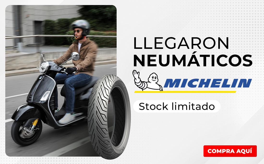 NEUMATICOS MICHELIN