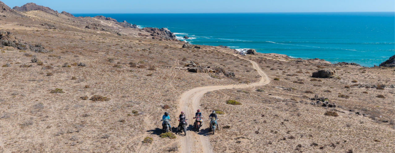 Disfruta nuestras rutas