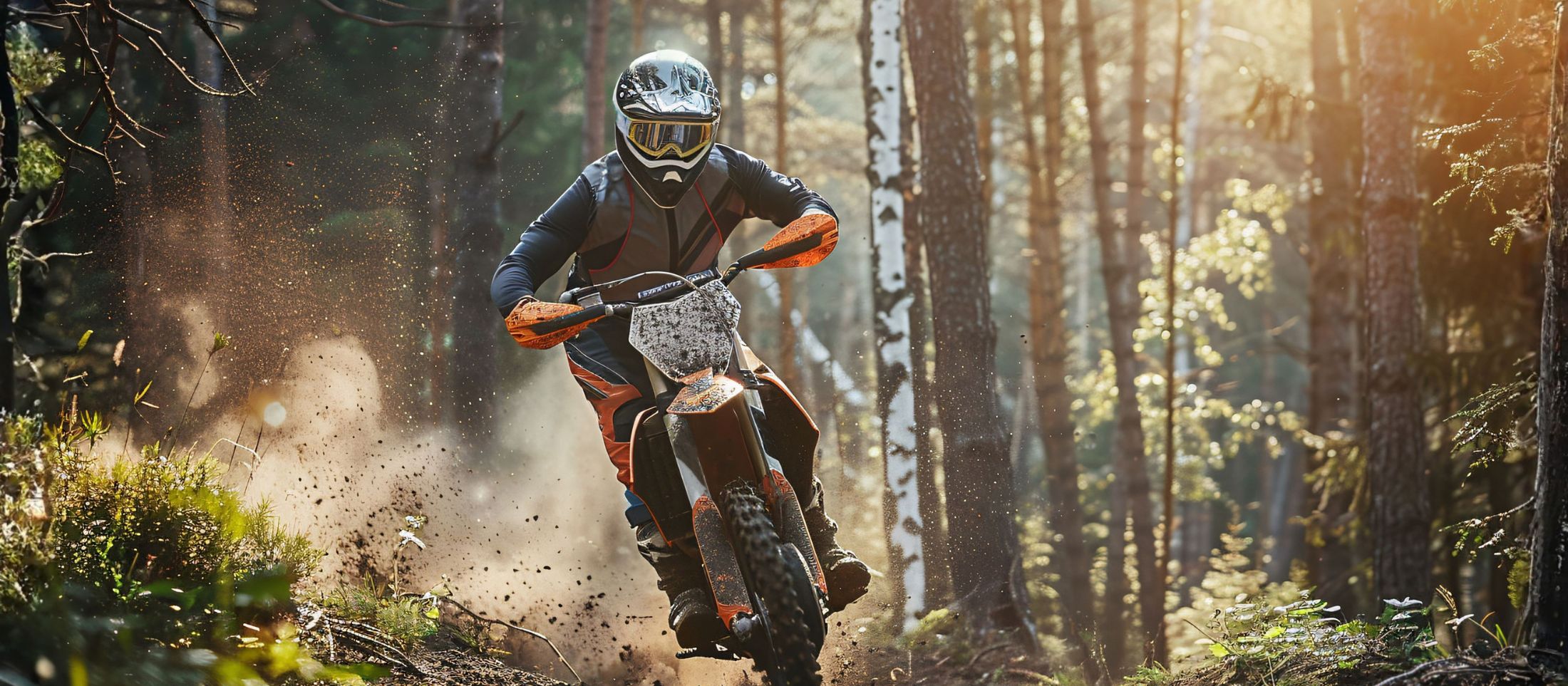 NEUMÁTICOS ENDURO / OFF-ROAD<br><br><br><br>