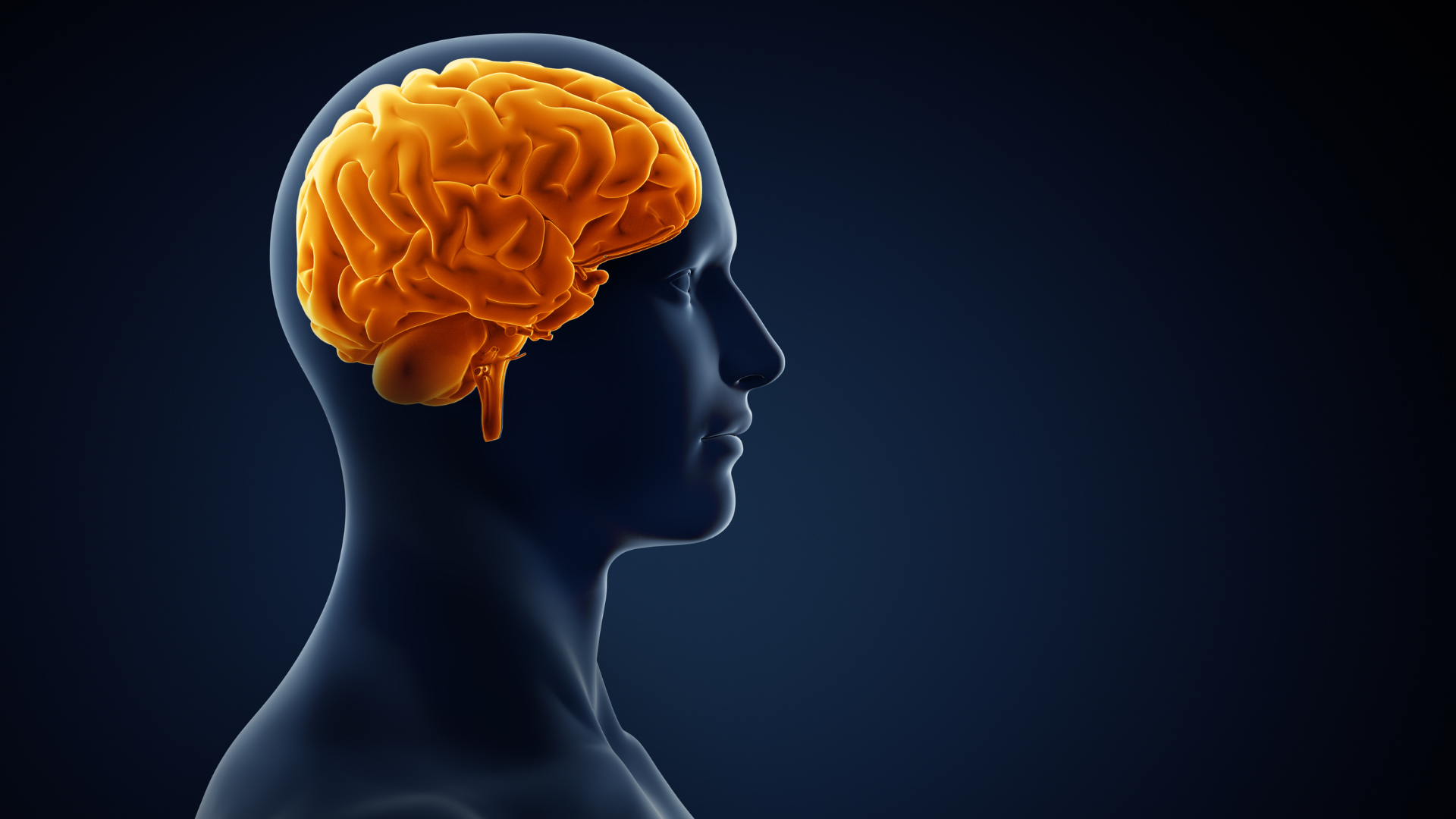 Alimentación que cuida nuestro cerebro
