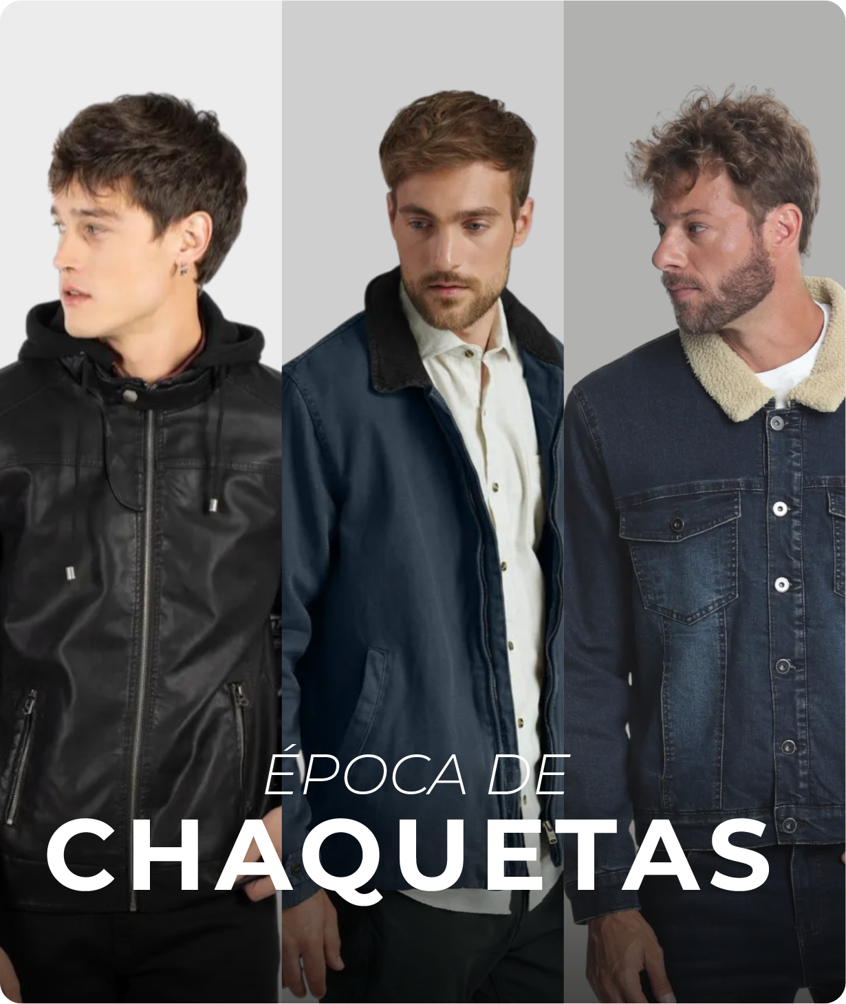 Multihogar.cl | Contigo en todas