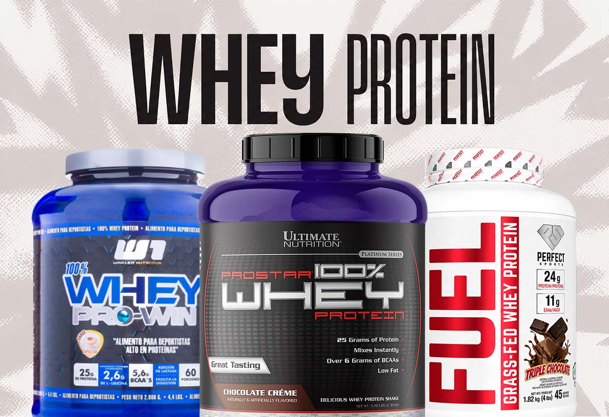 MUSCLEFACTORY