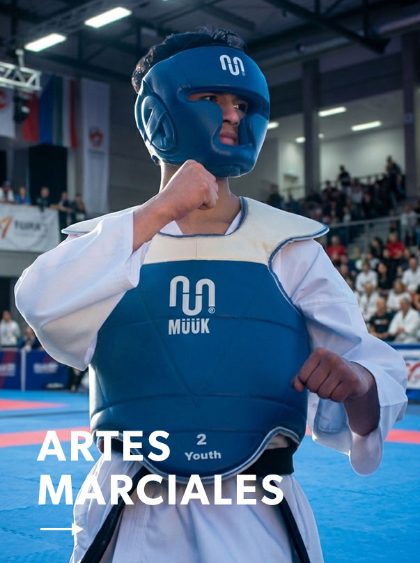 Artes marciales