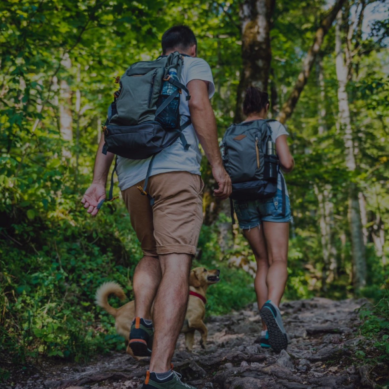 Pareja haciendo trekking con su perro. revisa nuestra categoría.
