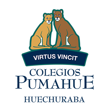 COLEGIOS PUMAHUE
