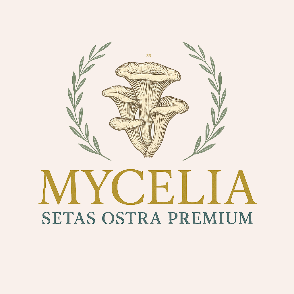 Mycelia Setas