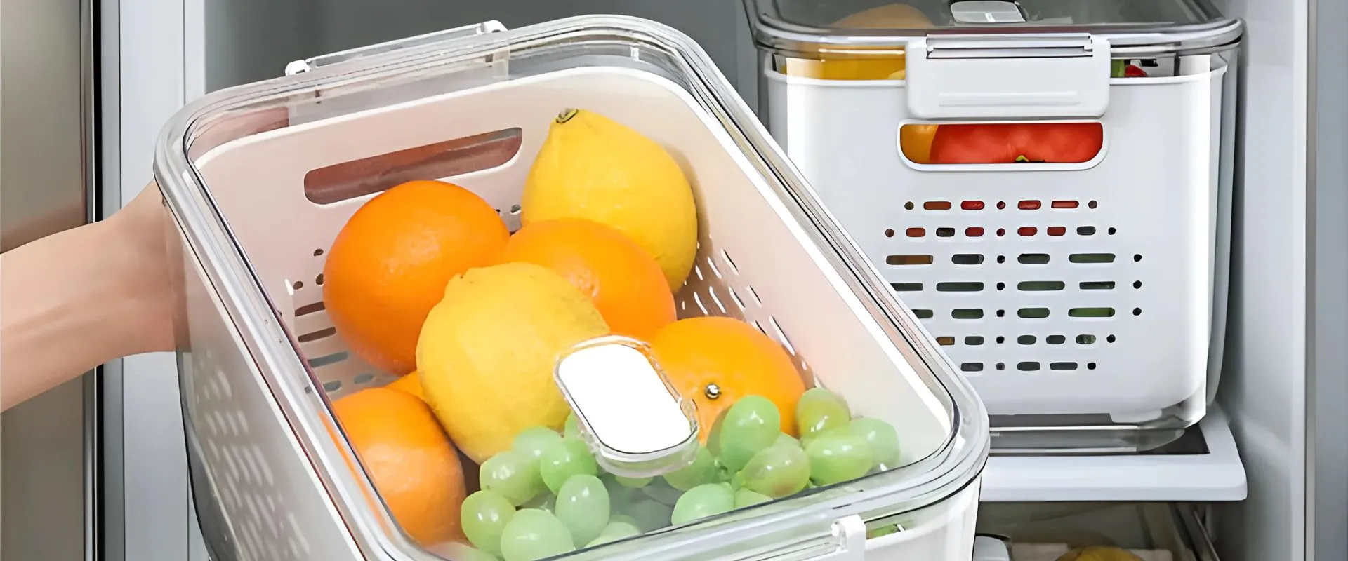 lavador de frutas y verduras hermético