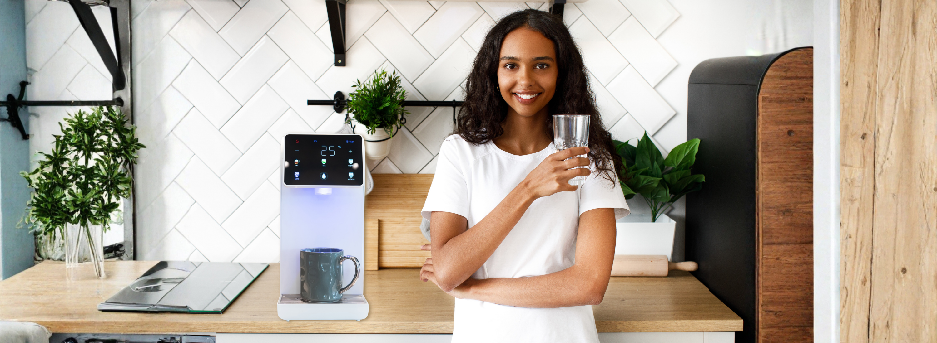 Countertop Water Purifier