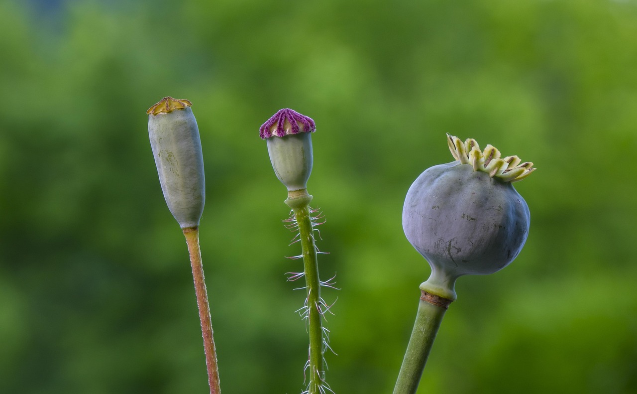 Tu bienestar es nuestra misión