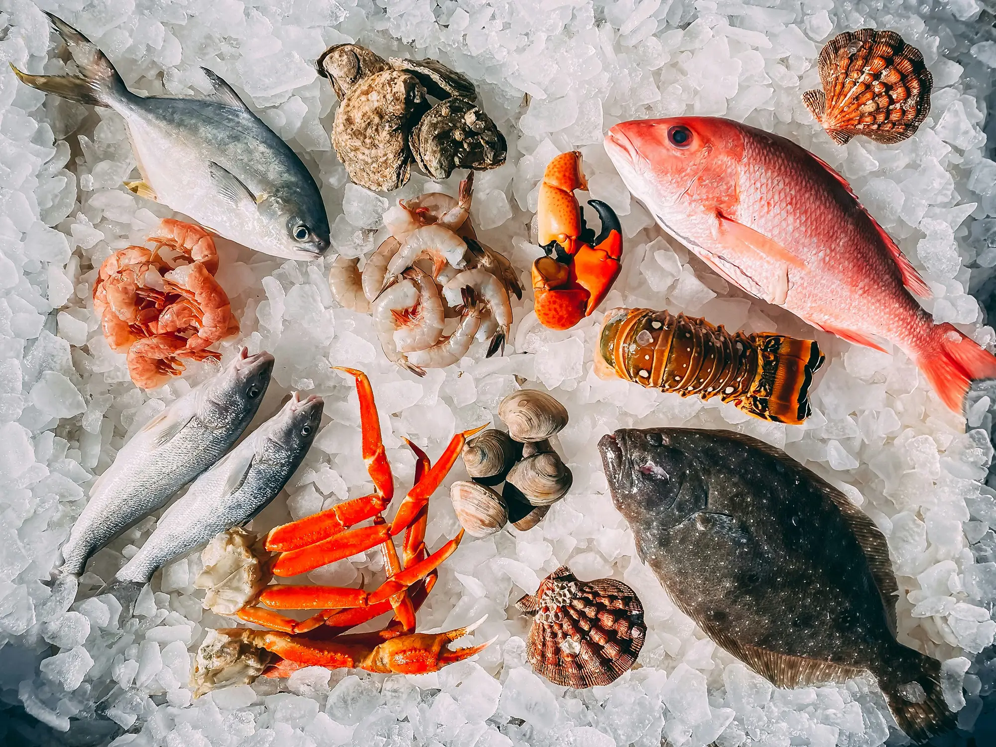 Freshness from the Sea to Your Table