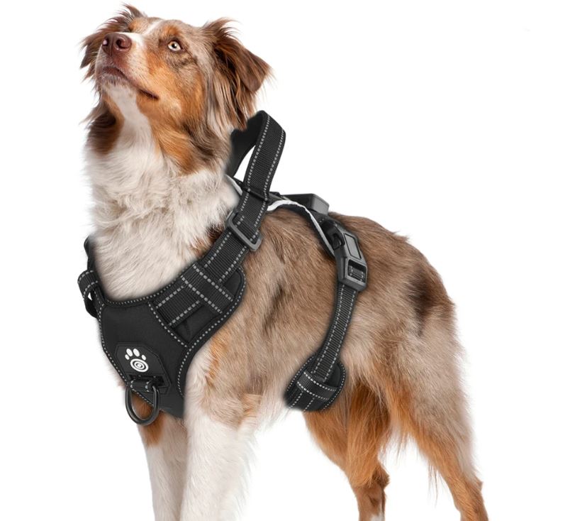 Gran variedad de Arnes