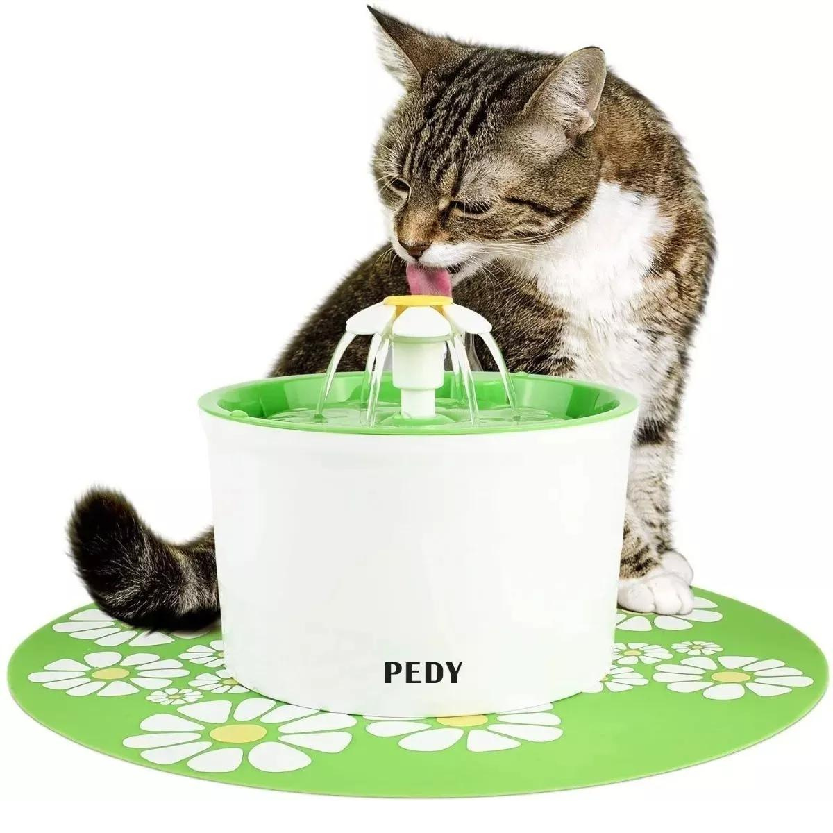 Comederos,  platos y fuentes