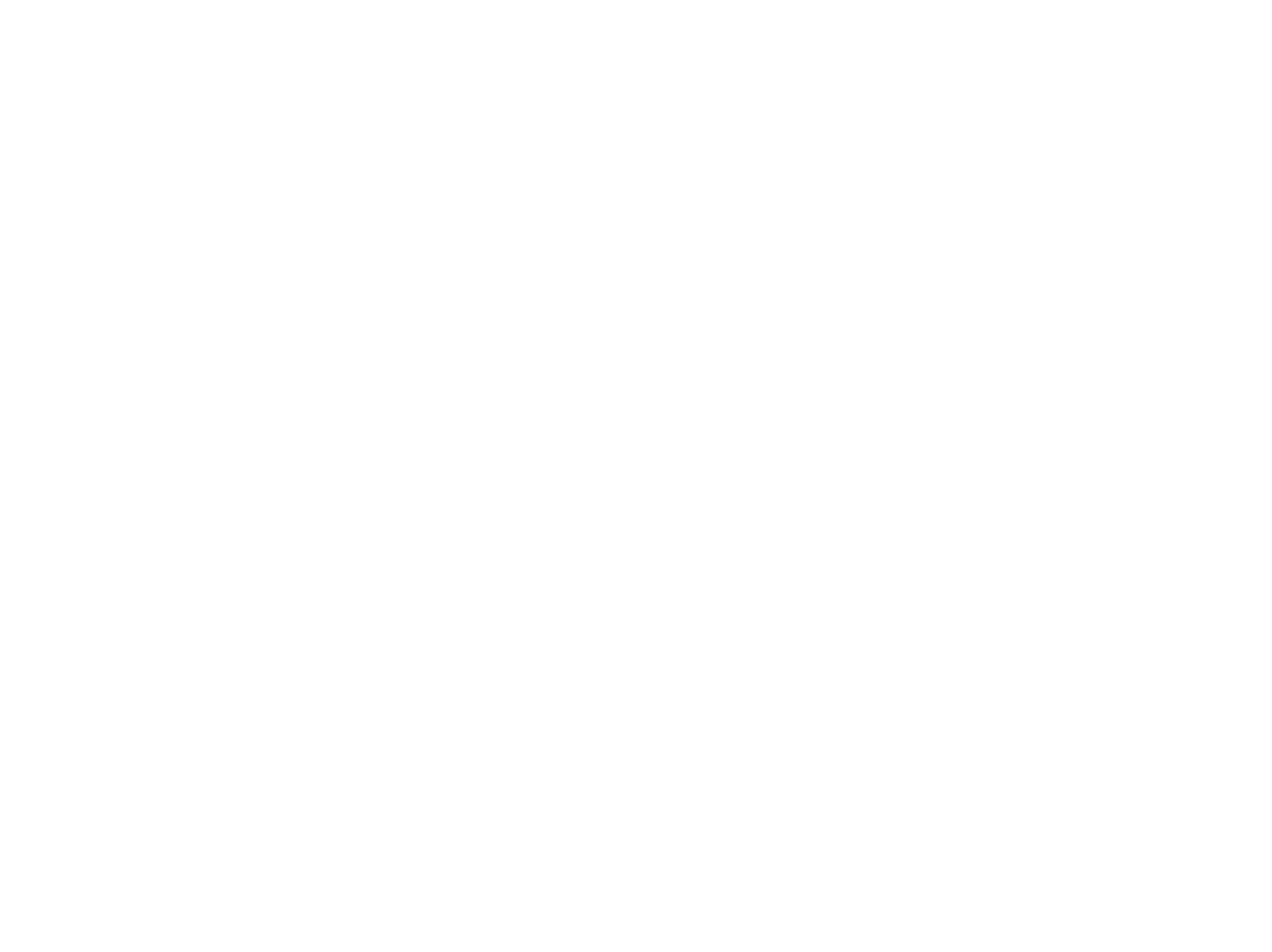 NEGATIV2000