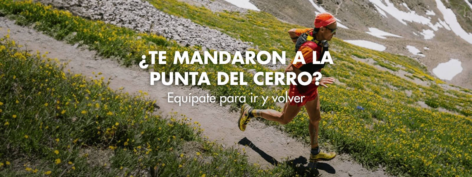 Título de la Sección