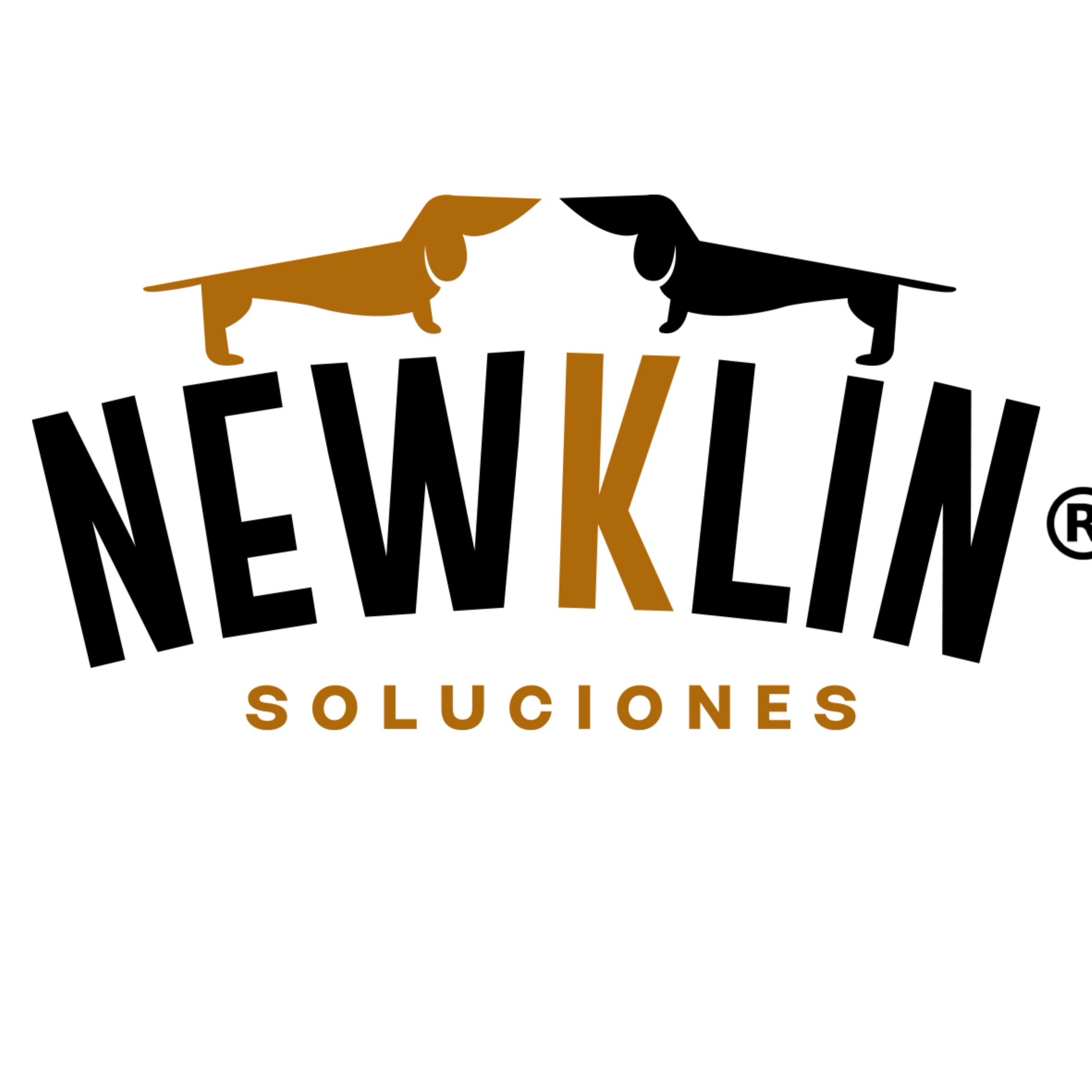 Newklin Soluciones 