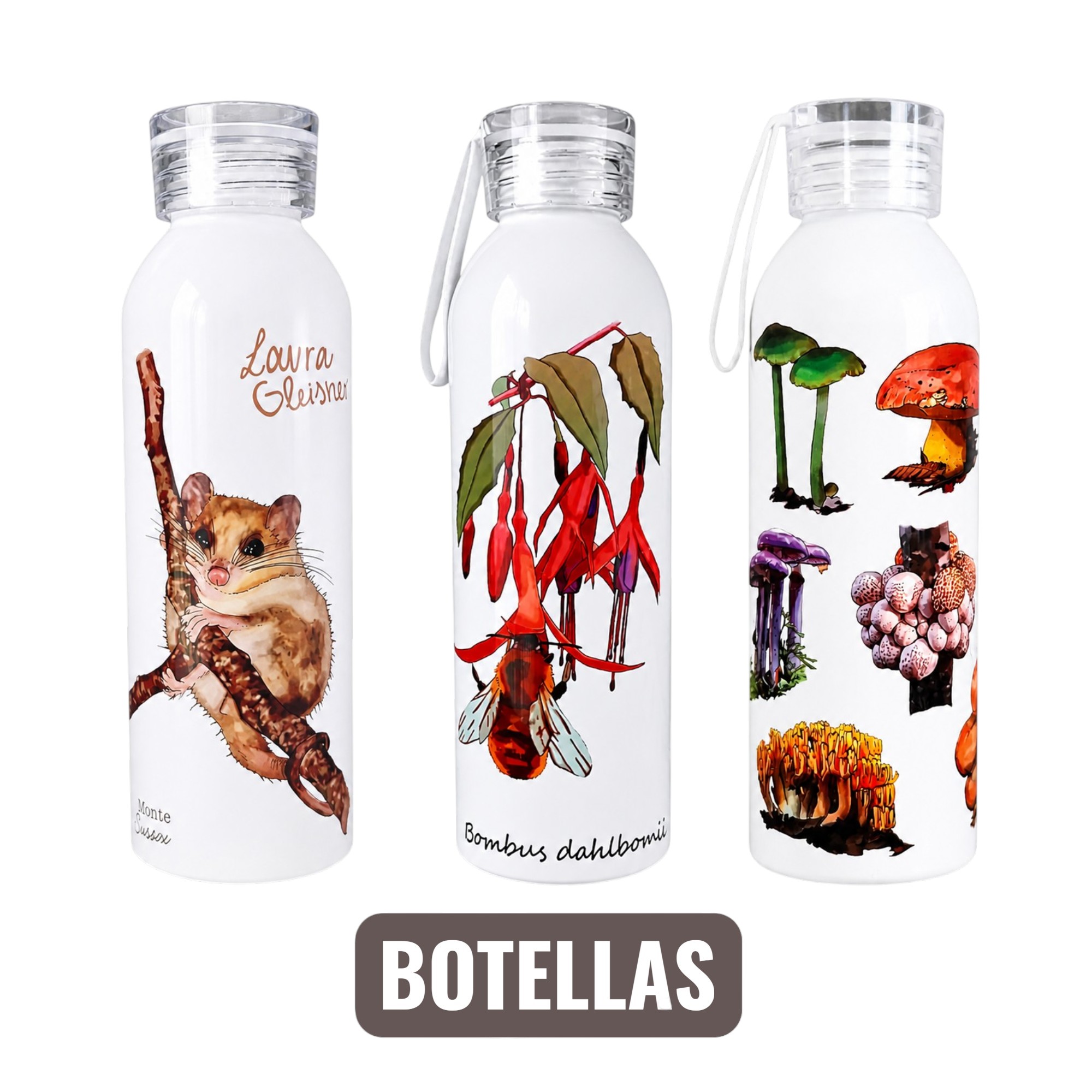 Botellas