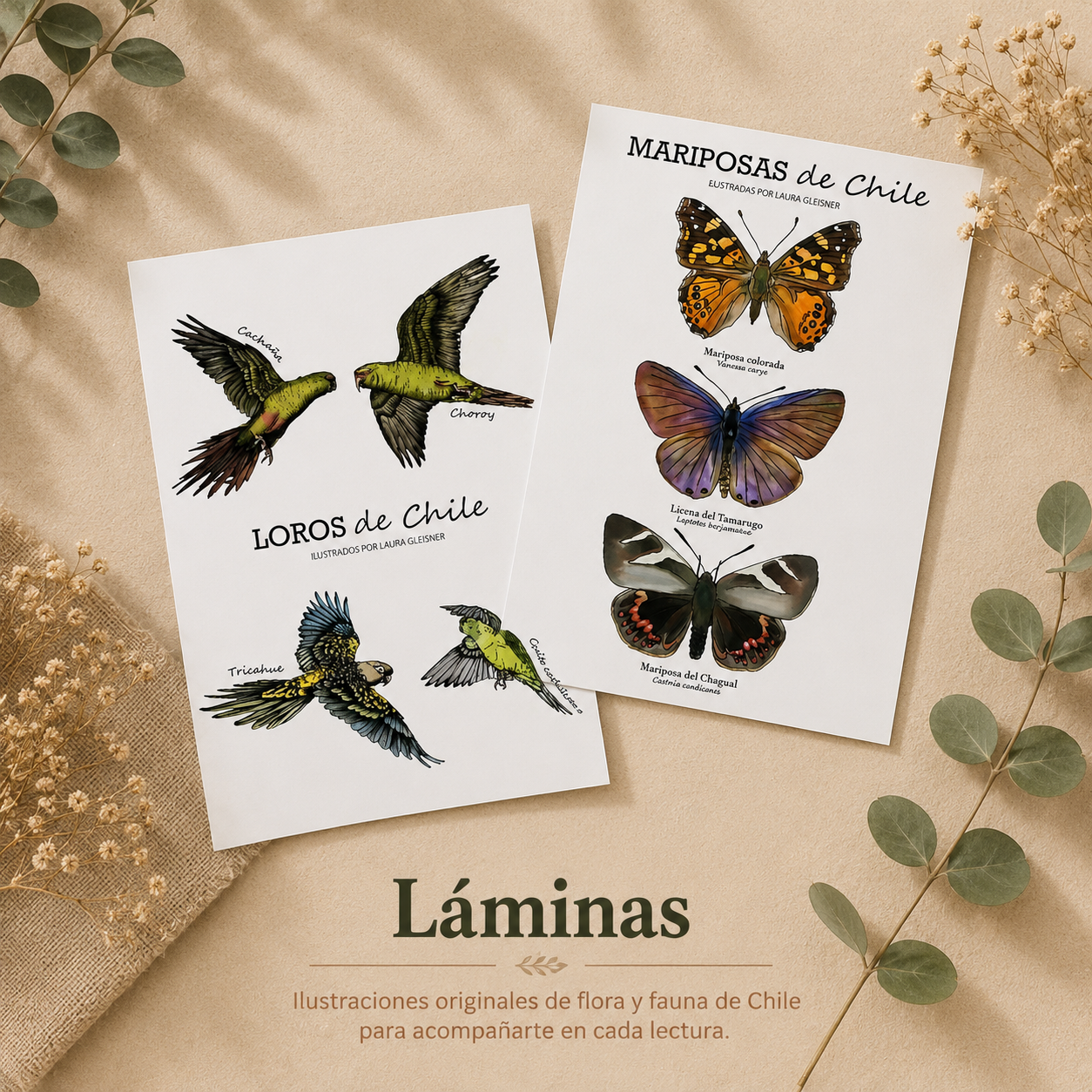 Láminas