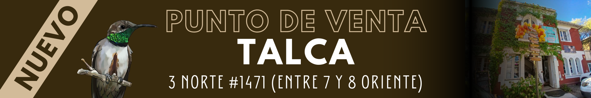 Título de la Sección