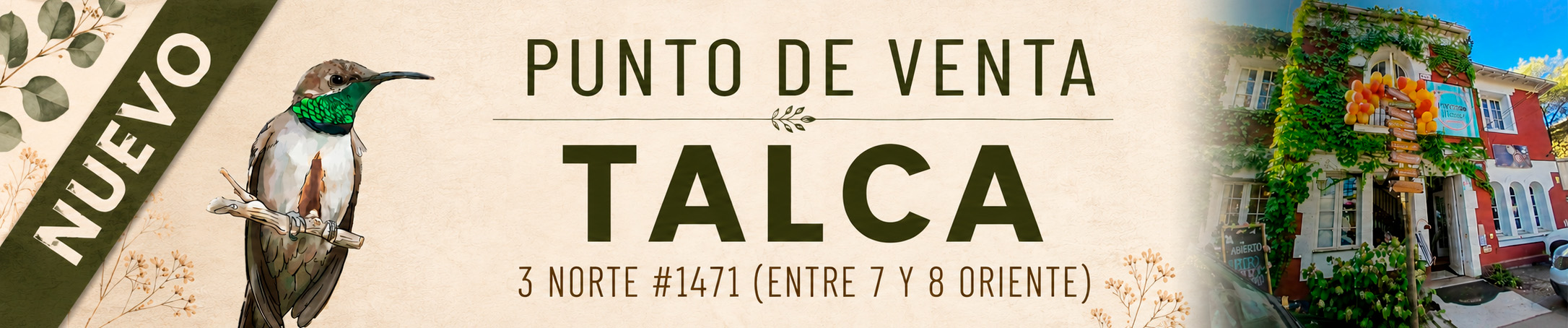 Título de la Sección
