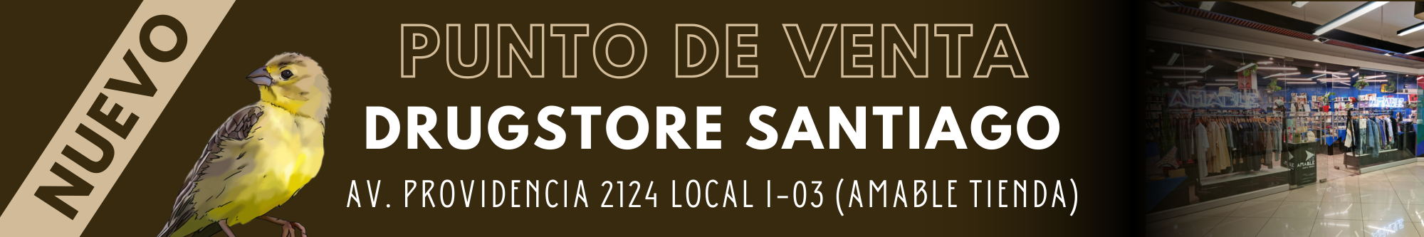 Título de la Sección